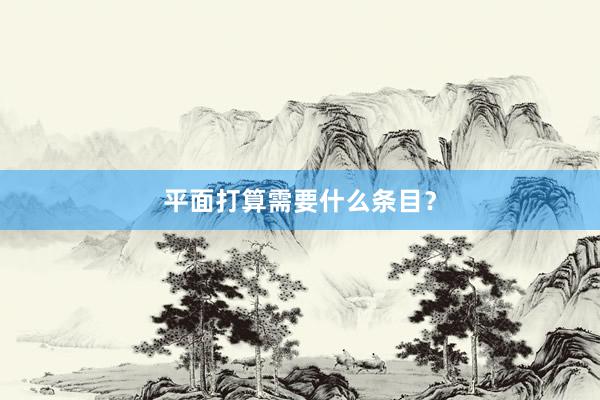 平面打算需要什么条目？