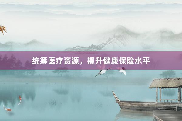 统筹医疗资源，擢升健康保险水平
